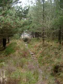 photo: tramway cutting