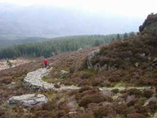 photo: tramway causeway