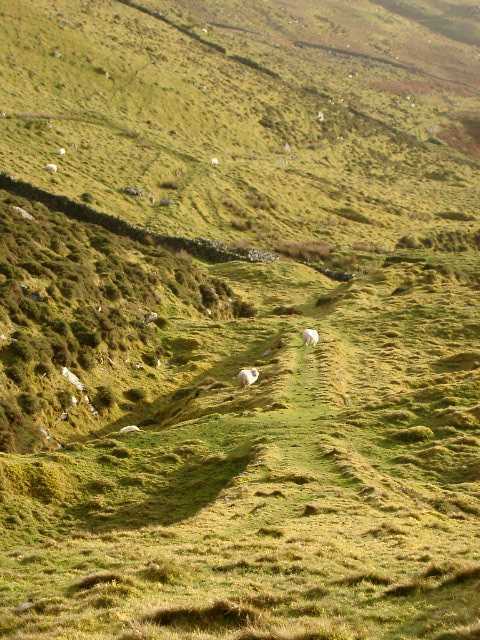 photo: internal incline