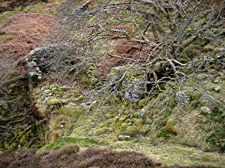 photo: building remains