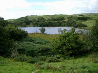 photo: Hafod-y-llyn