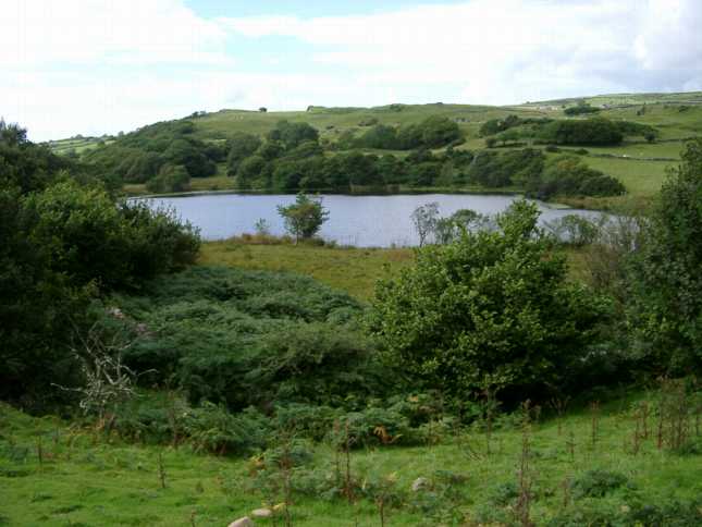 photo: Hafod-y-llyn